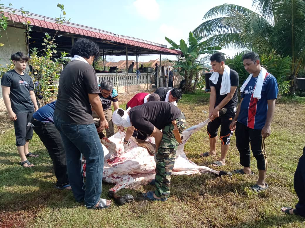 Program Ibadah Qurban 1445 / 2024